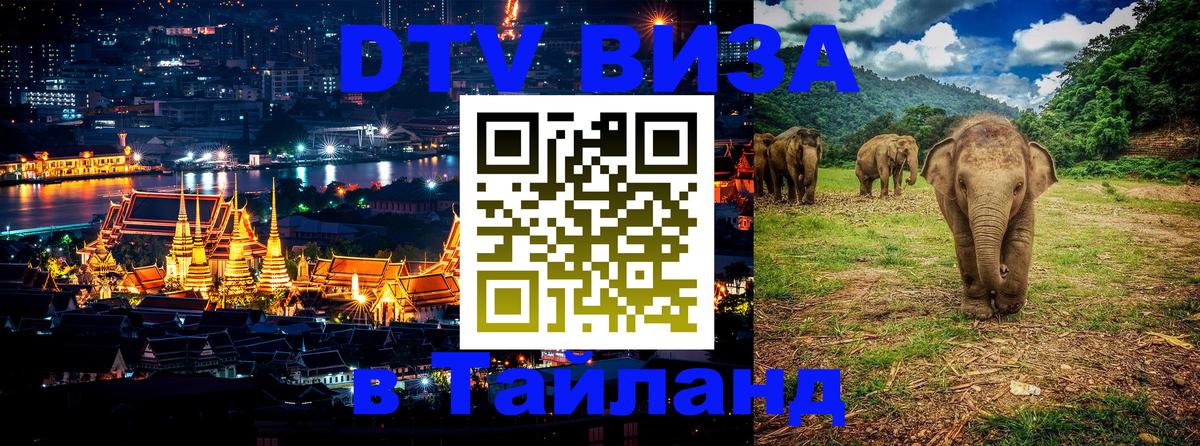 Оформление DTV визы под ключ: стоимость и тарифы, только загранпаспорт - 